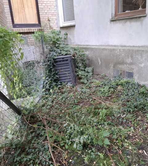 Unkrautentfernen – Vorher