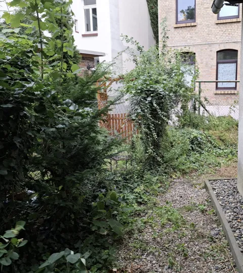 Unkrautentfernen - Vorher